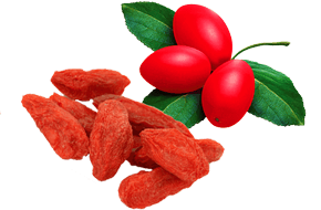 Bulk-Supply-Fruits_Goji