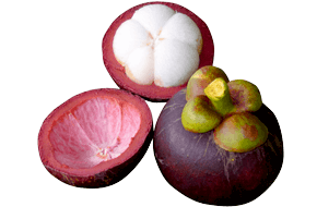 Bulk-Supply-Fruits_Mangosteen