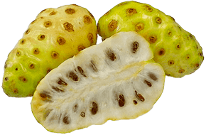 Bulk-Supply-Fruits_Noni