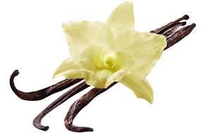 Bulk-Supply-Fruits_Vanilla