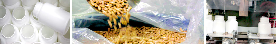 Photo-Collage-Horiz_Encapsulation-01