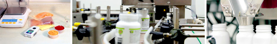 Photo-Collage-Horiz_Encapsulation-02