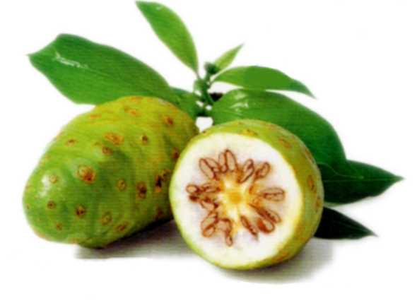 The Amazing Noni Superfruit Juice