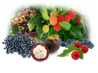 5 Questions About the Benefits of Super Fruit Juices