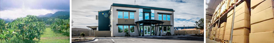 Innomark Source to Manufacture to Shipping